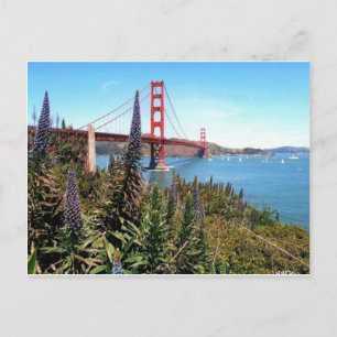 Golden Gate Bridge Postcard