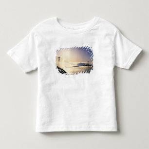 Golden Gate Bridge, San Francisco, California, 4 Toddler T-Shirt