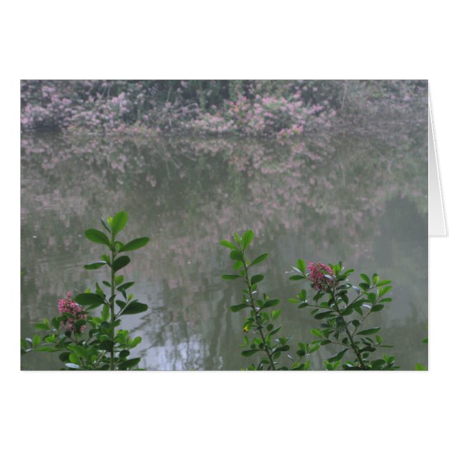 Golden Gate Park 1 (Front Horizontal)