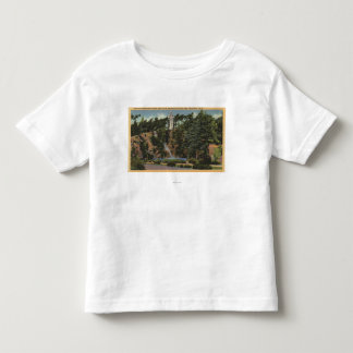 Golden Gate Park, Drake's Cross & Falls Toddler T-Shirt