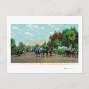 Golden Gate Park Driveway View Postcard