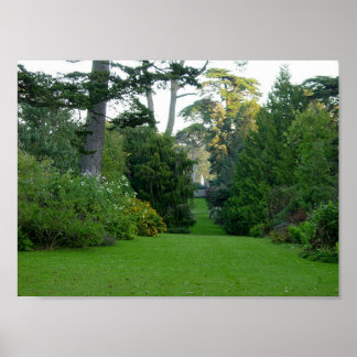 Golden Gate Park Poster