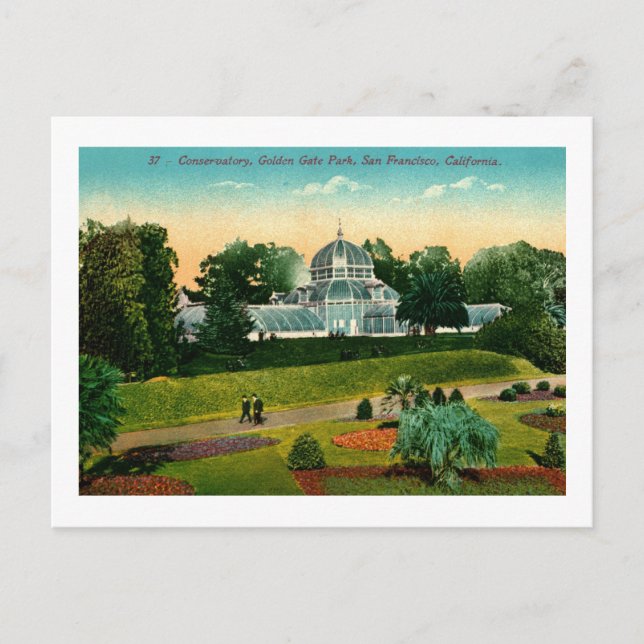 Golden Gate Park, San Francisco Vintage Postcard (Front)