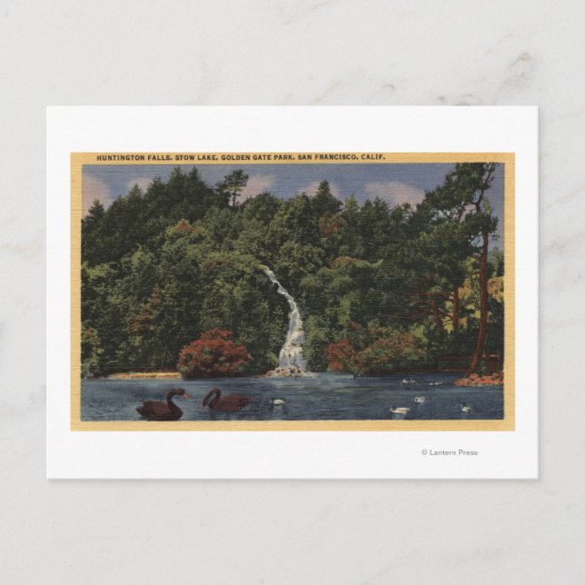 Golden Gate Park, Stow Lake, Huntington Falls Postcard (Front)