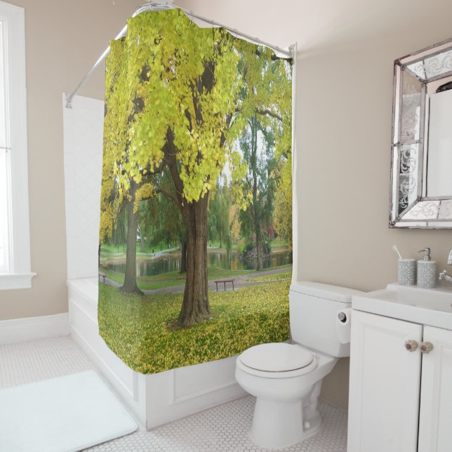 Golden Gingko Tree in the Fall Shower Curtain (In Situ)