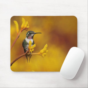 Golden Glow Mouse Mat