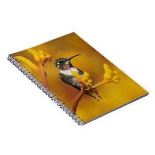 Golden Glow Notebook