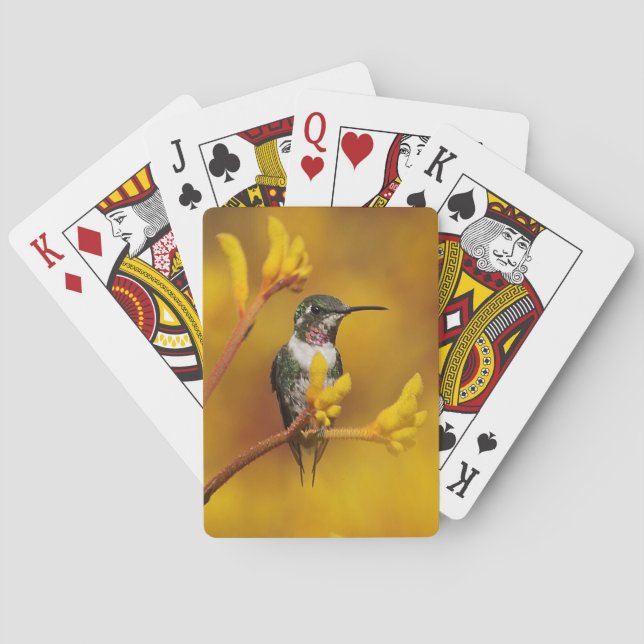 Golden Glow Playing Cards (Back)