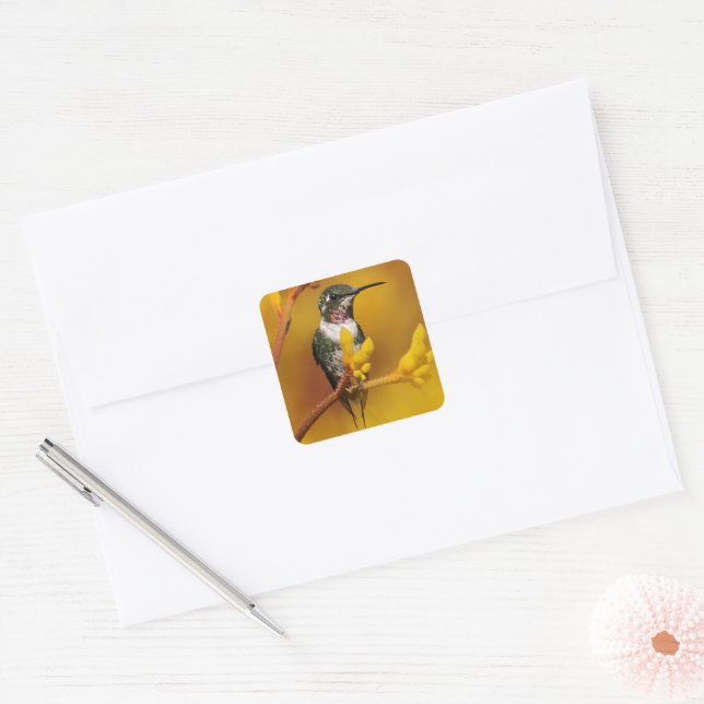 Golden Glow Square Sticker (Envelope)