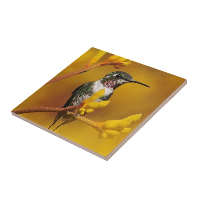 Golden Glow Tile (Side)