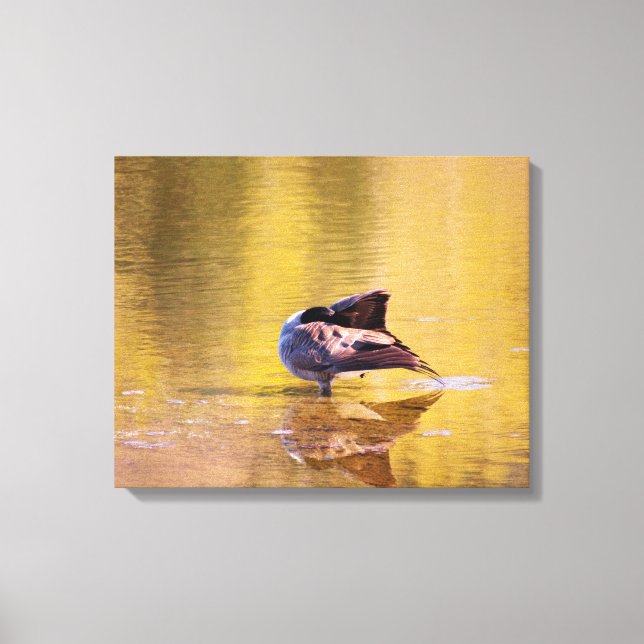 Golden Goose Canvas Print (Front)