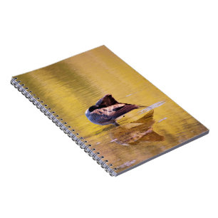 Golden Goose Notebook