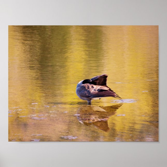 Golden Goose Poster (Front)