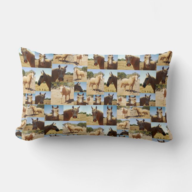 **"Golden Grace: A Palomino Photo Collage"** Lumbar Cushion (Front)