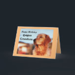 Golden Grandson Birthday Golden Retriever Card<br><div class="desc">Celebrate your grandson's birthday with an address card to delight golden retriever owners. The card features a beautiful golden in a classic champion pose. Designed in gold and black colors will be a great success,  keepsake for a golden retriever fan!</div>