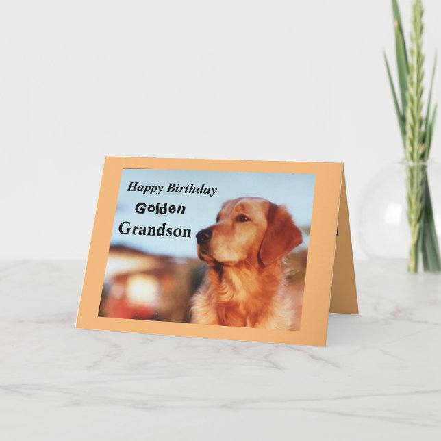 Golden Grandson Birthday Golden Retriever Card (Front)
