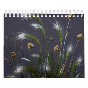 Golden Grass 2027 Calendar