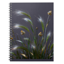 Golden Grass Notebook