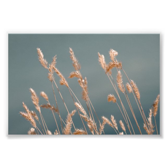 Golden Grass Seed Heads On Turquoise Blue Lake Photo Print (Front)