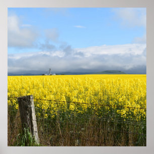 Golden Harvest  Poster