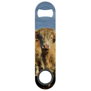 Golden Highlands: The Grace of Fawn-Coloured Cows