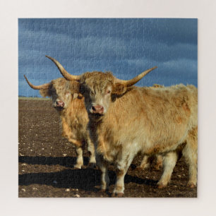 Golden Highlands: The Grace of Fawn-Coloured Cows Jigsaw Puzzle