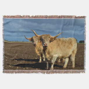 Golden Highlands: The Grace of Fawn-Coloured Cows Throw Blanket