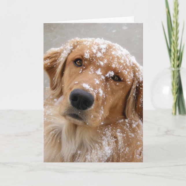 Golden Holidays and a Dog-gone happy New Year Holiday Card (Front)
