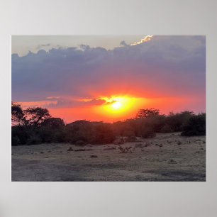 Golden Horizon – African Safari Sunset Photo Print