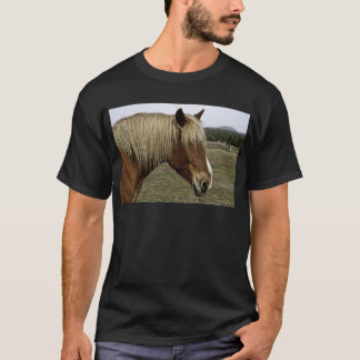 Golden horse T-Shirt