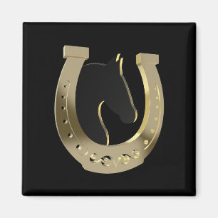 Golden horseshoe magnet