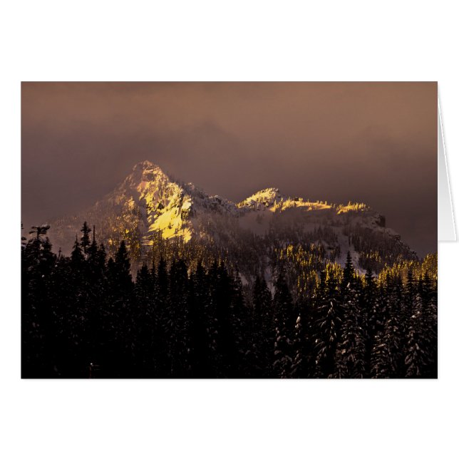 Golden Hour (Front Horizontal)