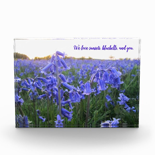 Golden Hour Bluebells - Personalised Mother's Day Photo Block (Front)