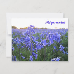 Golden Hour Bluebells - Personalised Postcard