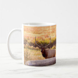 Golden Hour Bull Elk Coffee Mug