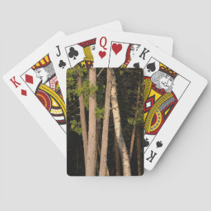 Golden Hour Forest Trees Playing Cards
