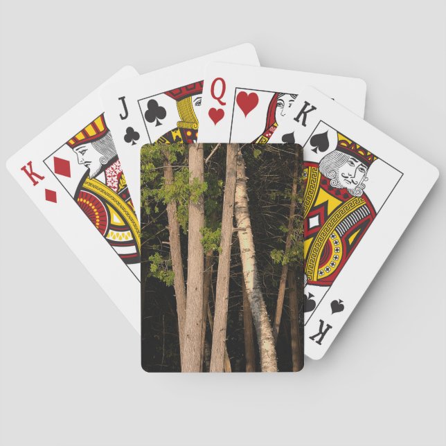 Golden Hour Forest Trees Playing Cards (Back)