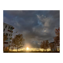 Golden Hour in the Neighbourhood