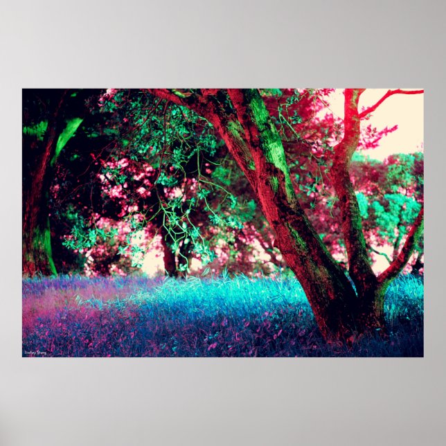 Golden Hour Poster - Size Large (34" x 22") (Front)