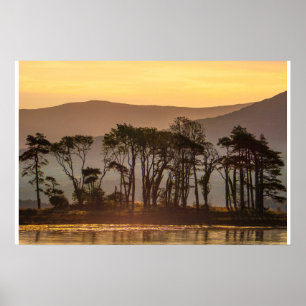 Golden Hour Reflections with Silhouetted Trees Poster