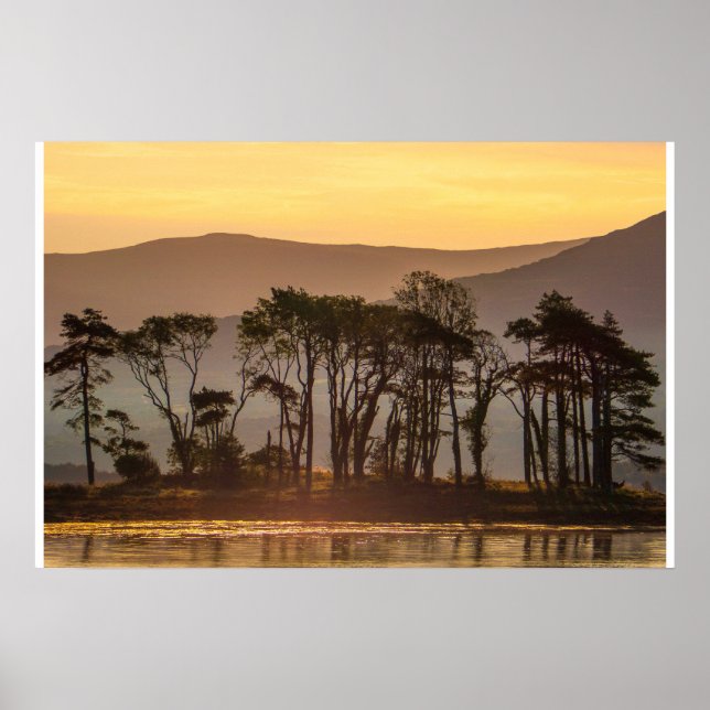 Golden Hour Reflections with Silhouetted Trees Poster (Front)