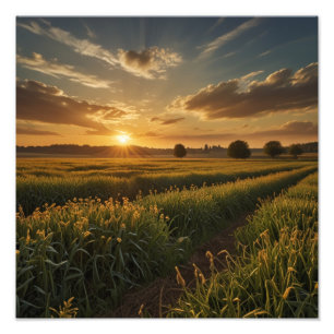 Golden Hour Serenity Photo Print