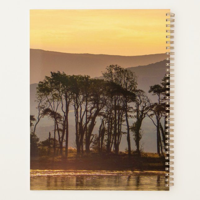 Golden Hour Trees Reflection Planner | Nature Art (Back)