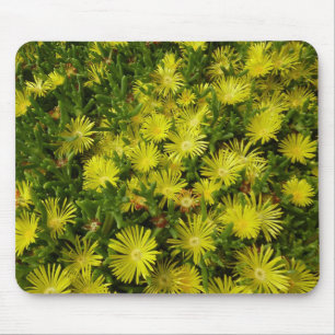 Golden Ice Plant Yellow Flowers Mouse Mat