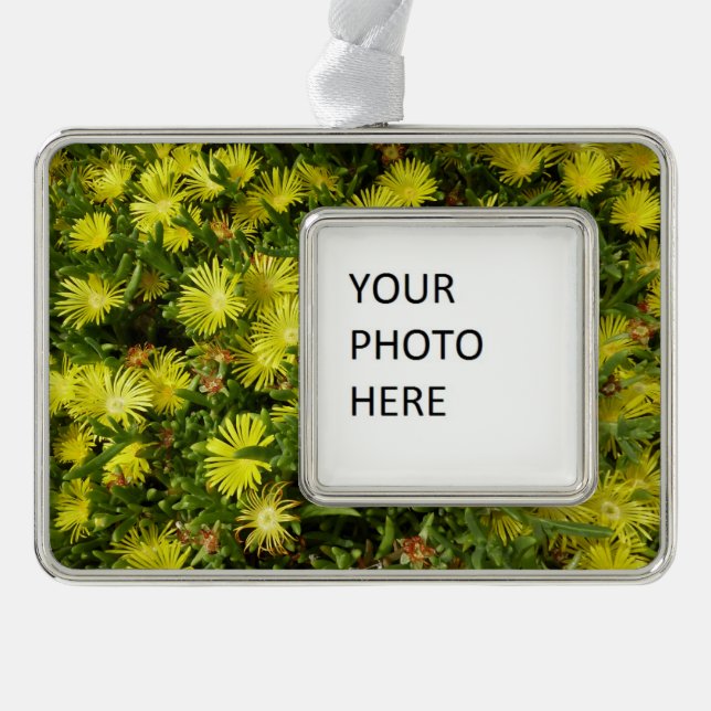 Golden Ice Plant Yellow Flowers Silver Plated Framed Ornament (Front)