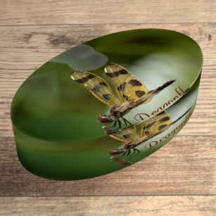 Golden Iridescent Dragonfly Green Paperweight