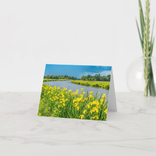 Golden Irises inspiring the symbol Fleur de Lis. Card