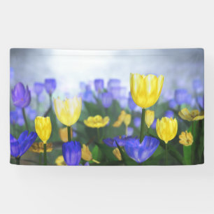 Golden Jubilee Banner