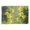 Golden King Alfred Daffodils kitchen-