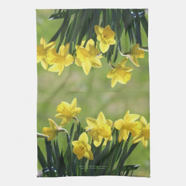 Golden King Alfred Daffodils kitchen- Tea Towel (Vertical)